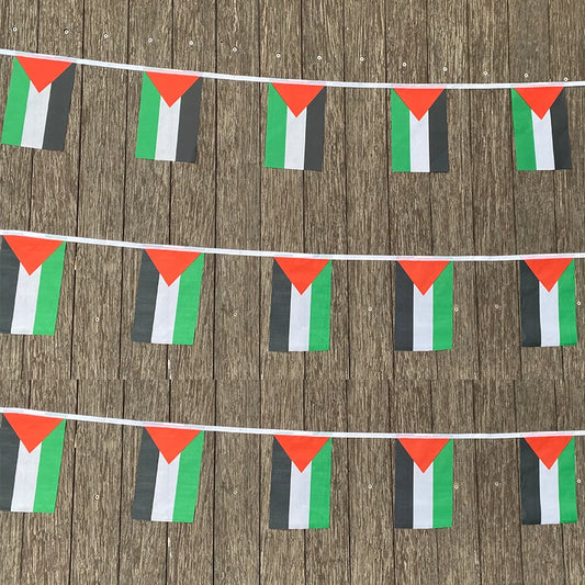 Palestine Pennant String